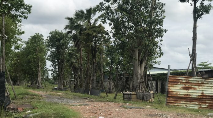 TPHCM thí điểm xây nhà ở thương mại trên đất nông nghiệp chuyển đổi