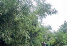 Kịp thời ứng phó, quyết liệt khắc phục sự cố đê ở thôn An Cửu