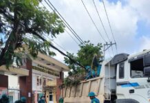 Ấm tình Quân dân nơi “Tâm bão”: Phường Quy Nhơn Nam chung tay khắc phục hậu quả thiên tai